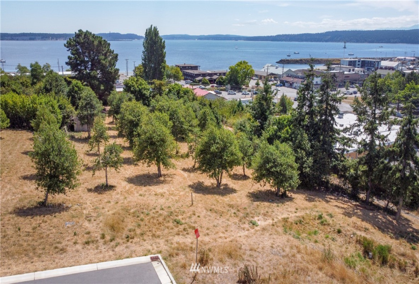 2017 Franklin, Port Townsend, Washington 98368, ,Land,For Sale,MABLE ADDITION,Franklin,NWM1815819
