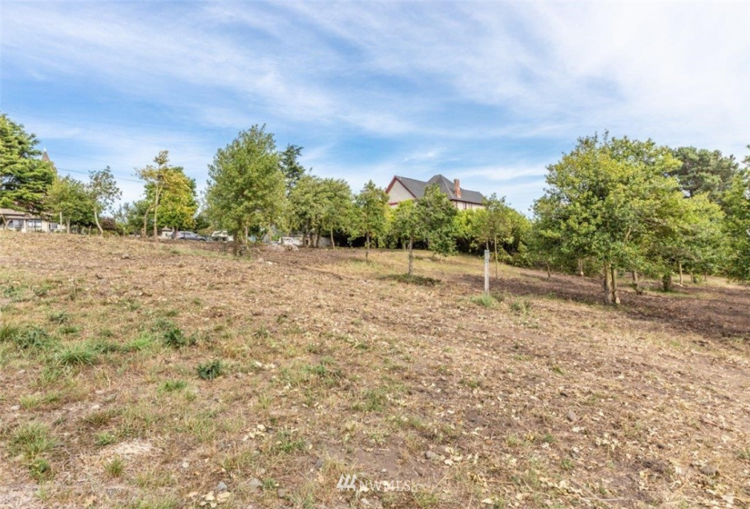 2017 Franklin, Port Townsend, Washington 98368, ,Land,For Sale,MABLE ADDITION,Franklin,NWM1815819
