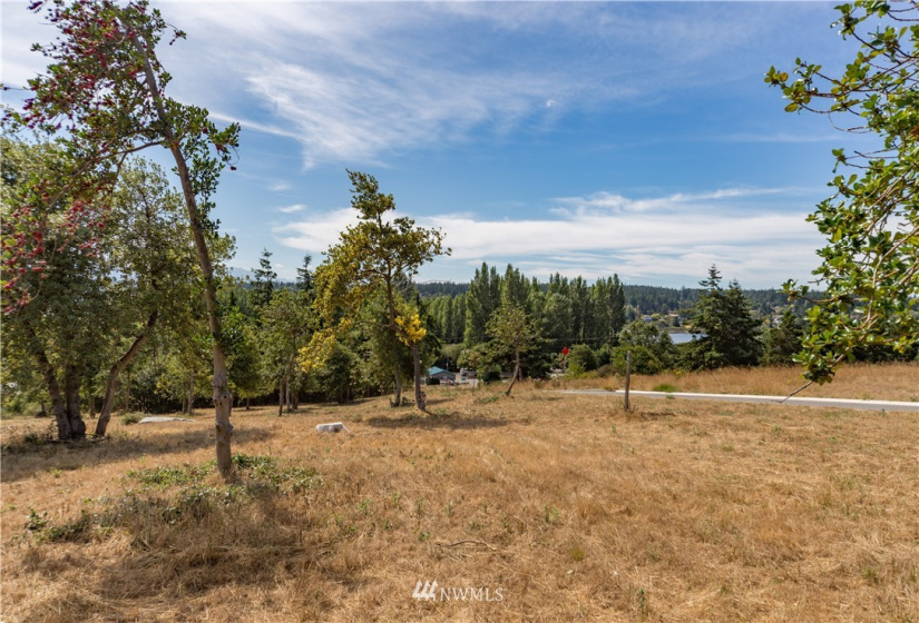2017 Franklin, Port Townsend, Washington 98368, ,Land,For Sale,MABLE ADDITION,Franklin,NWM1815819