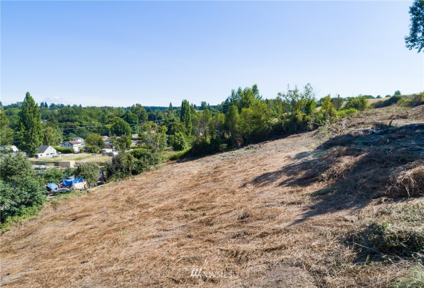 3566 Portland, Tacoma, Washington 98404, ,Land,For Sale,Portland,NWM1815544
