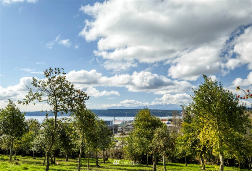 2019 Franklin, Port Townsend, Washington 98368, ,Land,For Sale,MABLE ADDITIONA,Franklin,NWM1815845