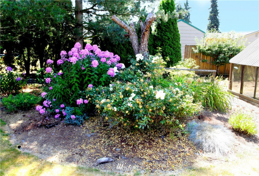 5328 143rd, Marysville, Washington 98271, 2 Bedrooms Bedrooms, ,1 BathroomBathrooms,Residential,For Sale,143rd,NWM1815962