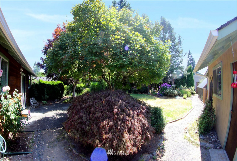 5328 143rd, Marysville, Washington 98271, 2 Bedrooms Bedrooms, ,1 BathroomBathrooms,Residential,For Sale,143rd,NWM1815962