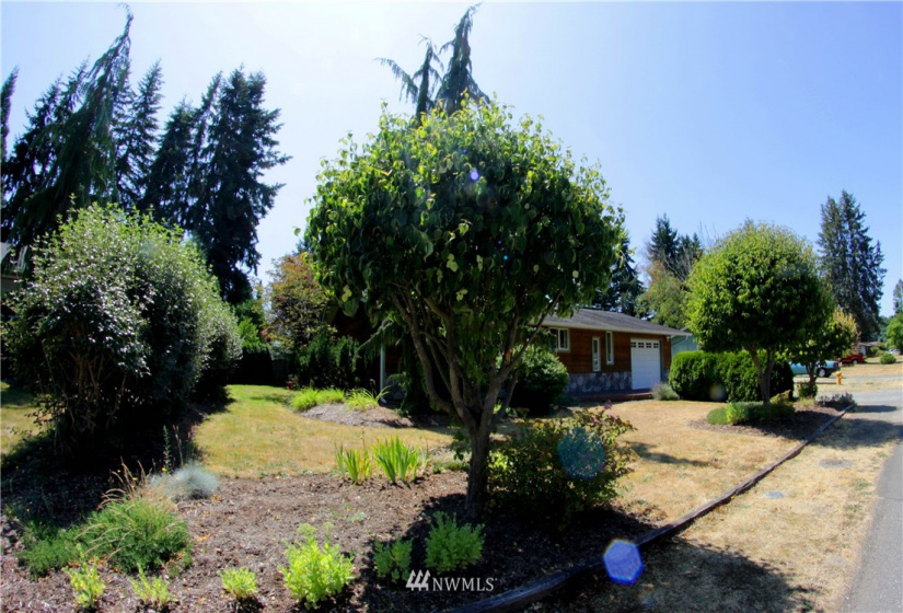 5328 143rd, Marysville, Washington 98271, 2 Bedrooms Bedrooms, ,1 BathroomBathrooms,Residential,For Sale,143rd,NWM1815962