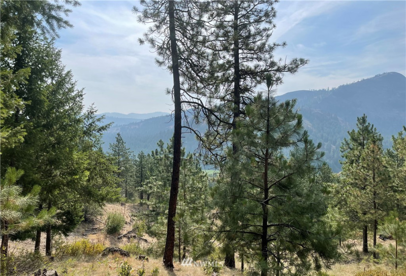 1 XXX Highway 20, Republic, Washington 99166, ,Land,For Sale,Highway 20,NWM1815298