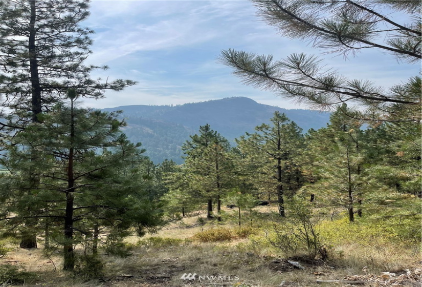 1 XXX Highway 20, Republic, Washington 99166, ,Land,For Sale,Highway 20,NWM1815298