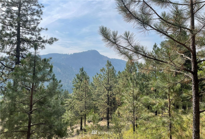 1 XXX Highway 20, Republic, Washington 99166, ,Land,For Sale,Highway 20,NWM1815298