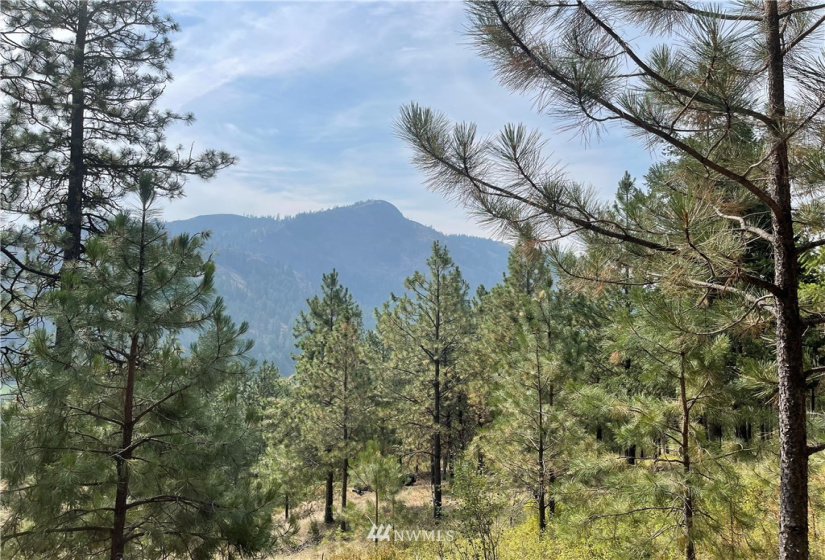 1 XXX Highway 20, Republic, Washington 99166, ,Land,For Sale,Highway 20,NWM1815298