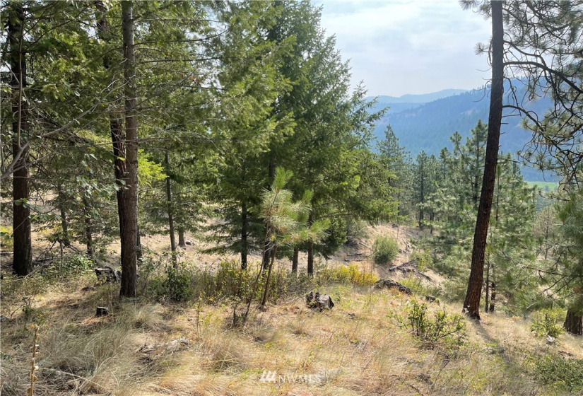 1 XXX Highway 20, Republic, Washington 99166, ,Land,For Sale,Highway 20,NWM1815298