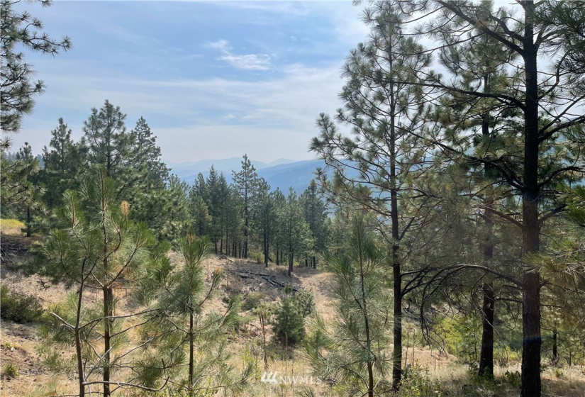 1 XXX Highway 20, Republic, Washington 99166, ,Land,For Sale,Highway 20,NWM1815298