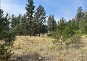1 XXX Highway 20, Republic, Washington 99166, ,Land,For Sale,Highway 20,NWM1815298
