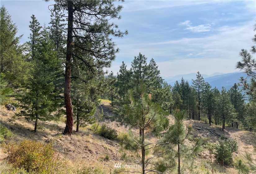 1 XXX Highway 20, Republic, Washington 99166, ,Land,For Sale,Highway 20,NWM1815298