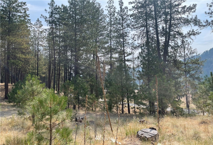 1 XXX Highway 20, Republic, Washington 99166, ,Land,For Sale,Highway 20,NWM1815298