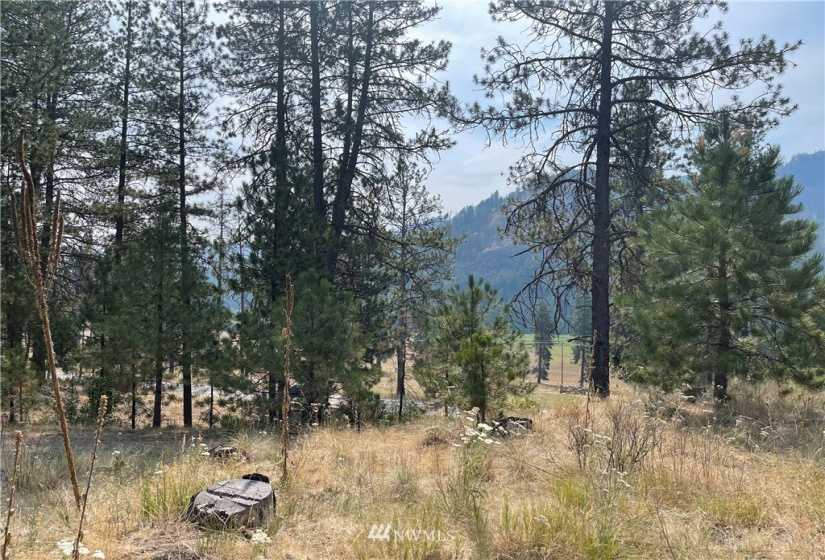 1 XXX Highway 20, Republic, Washington 99166, ,Land,For Sale,Highway 20,NWM1815298