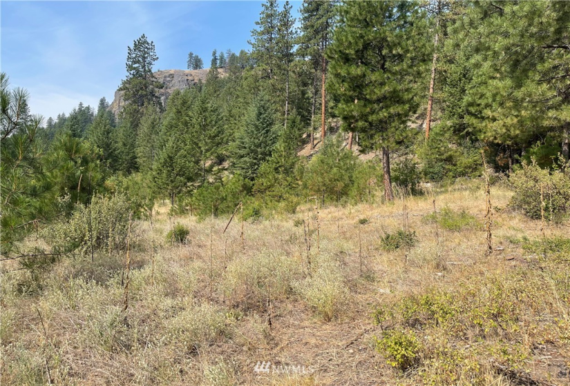 1 XXX Highway 20, Republic, Washington 99166, ,Land,For Sale,Highway 20,NWM1815298