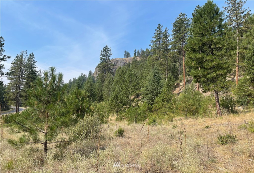1 XXX Highway 20, Republic, Washington 99166, ,Land,For Sale,Highway 20,NWM1815298