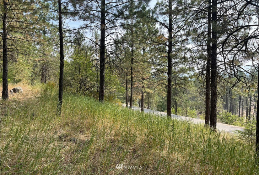 1 XXX Highway 20, Republic, Washington 99166, ,Land,For Sale,Highway 20,NWM1815298
