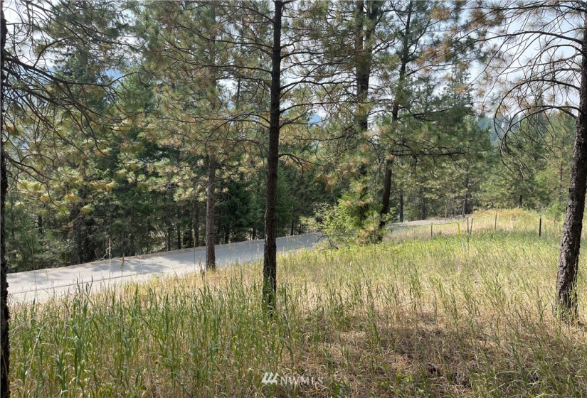 1 XXX Highway 20, Republic, Washington 99166, ,Land,For Sale,Highway 20,NWM1815298