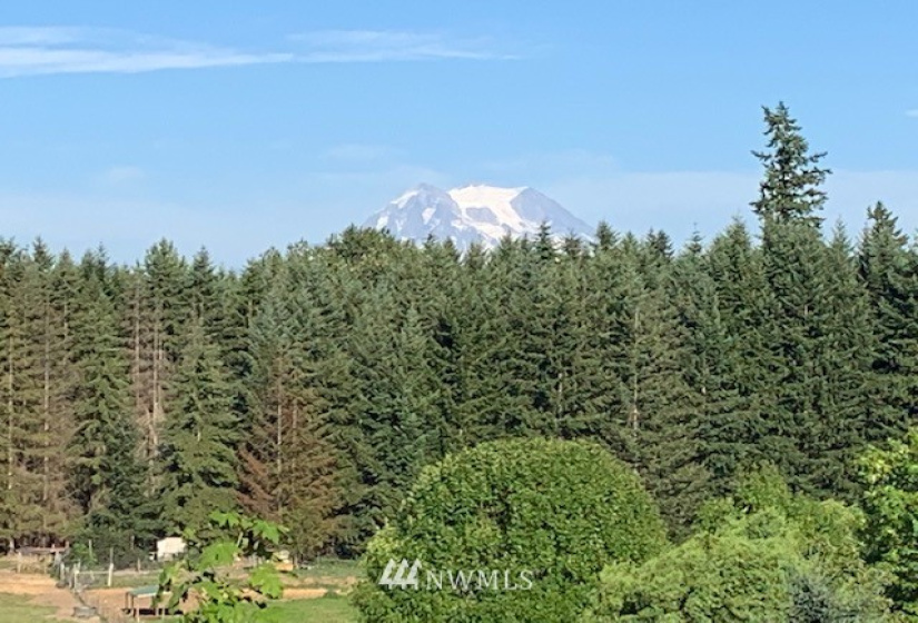 30017 39th, Roy, Washington 98580, ,Land,For Sale,Lacamas valley west,39th,NWM1815733