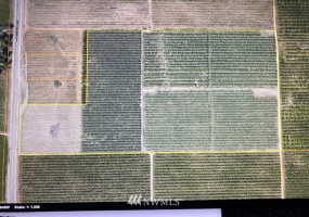 0 NNA Van Well, East Wenatchee, Washington 98802, ,Farm,For Sale,THC Short Plat,Van Well,NWM1816295