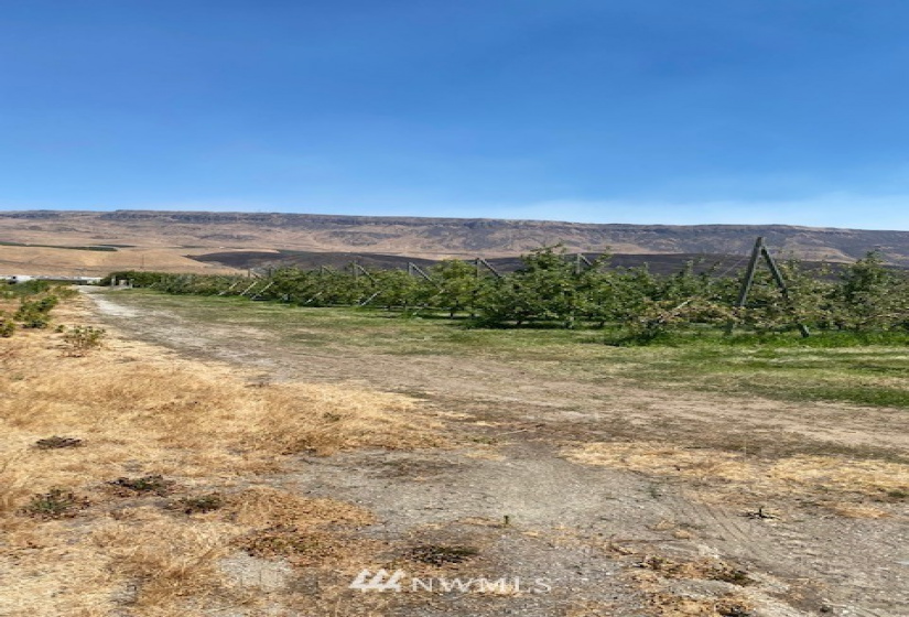 0 NNA Van Well, East Wenatchee, Washington 98802, ,Farm,For Sale,THC Short Plat,Van Well,NWM1816295