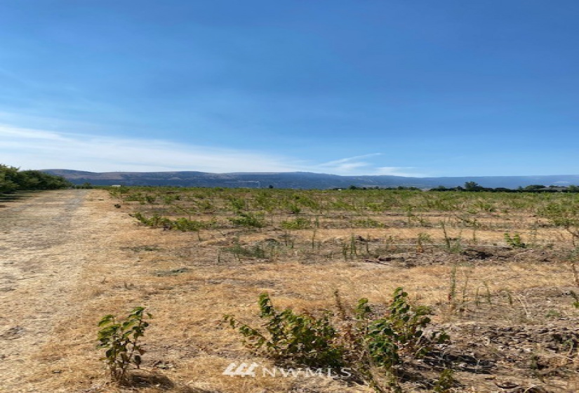 0 NNA Van Well, East Wenatchee, Washington 98802, ,Farm,For Sale,THC Short Plat,Van Well,NWM1816295