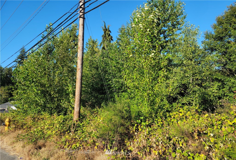 0 Beverly Park Rd, Everett, Washington 98087, ,Land,For Sale,Beverly Park Rd,NWM1816227