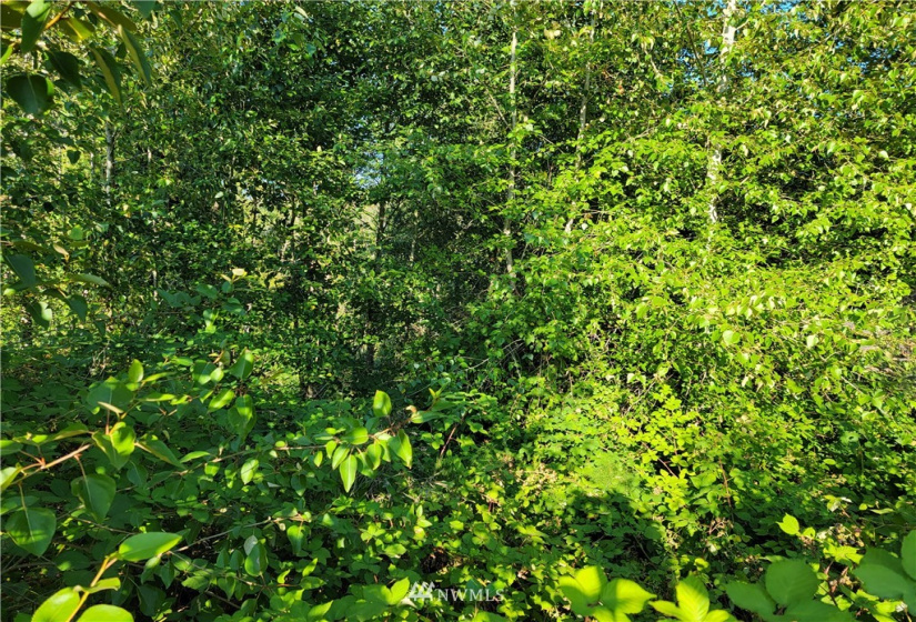 0 Beverly Park Rd, Everett, Washington 98087, ,Land,For Sale,Beverly Park Rd,NWM1816227