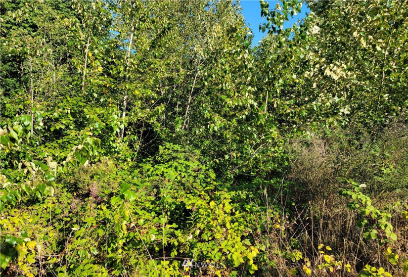 0 Beverly Park Rd, Everett, Washington 98087, ,Land,For Sale,Beverly Park Rd,NWM1816227