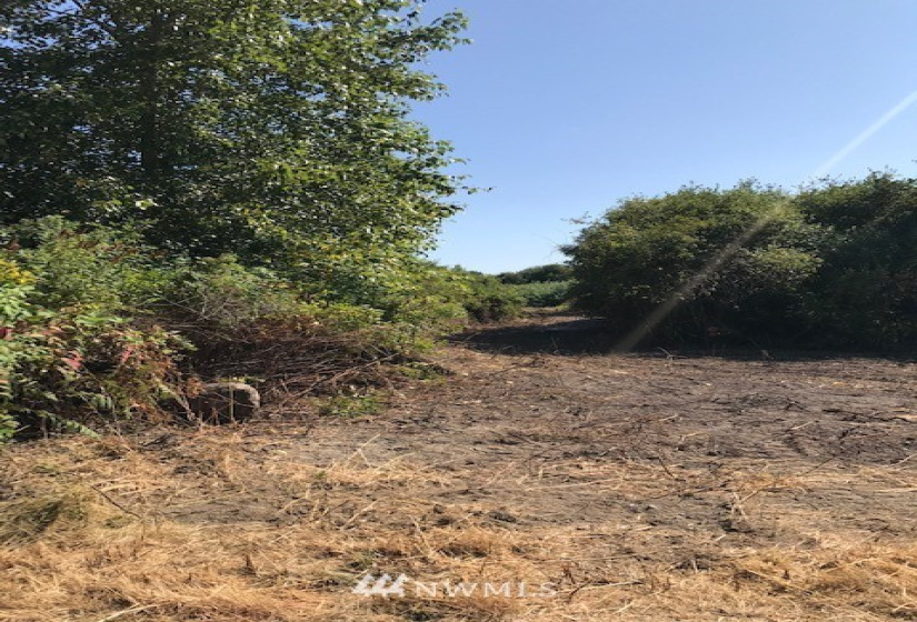 0 Peltier, Point Roberts, Washington 98281, ,Land,For Sale,Peltier,NWM1814526