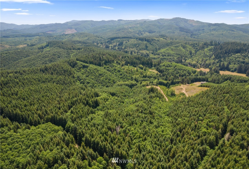 0 X Menlo Rue Creek, Raymond, Washington 98577, ,Land,For Sale,X Menlo Rue Creek,NWM1816114