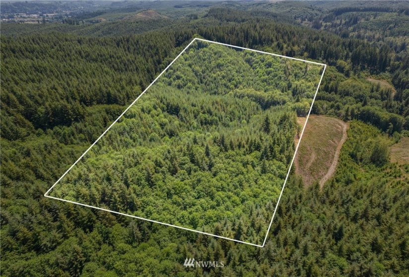 0 X Menlo Rue Creek, Raymond, Washington 98577, ,Land,For Sale,X Menlo Rue Creek,NWM1816114
