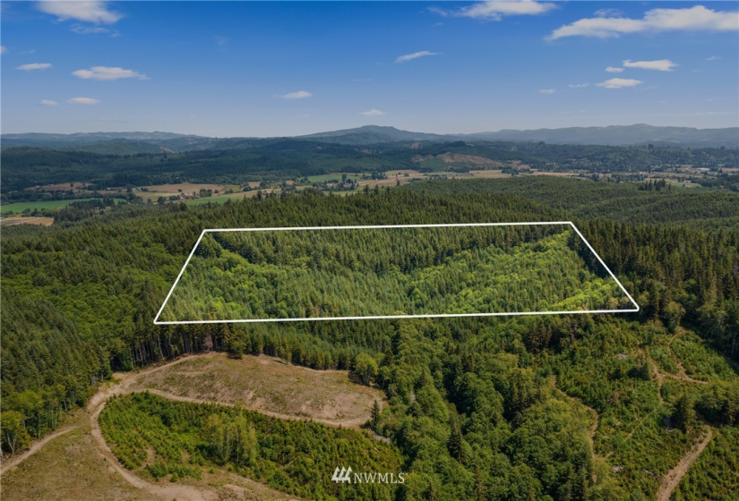 0 X Menlo Rue Creek, Raymond, Washington 98577, ,Land,For Sale,X Menlo Rue Creek,NWM1816114