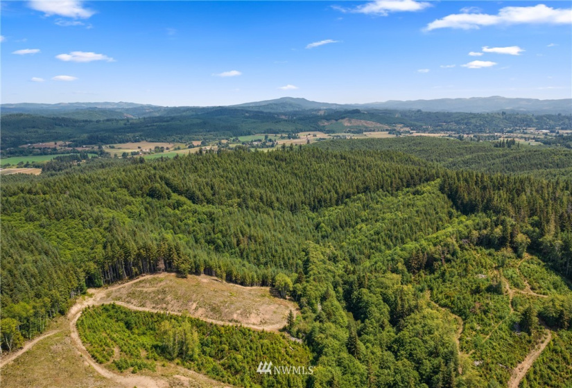 0 X Menlo Rue Creek, Raymond, Washington 98577, ,Land,For Sale,X Menlo Rue Creek,NWM1816114