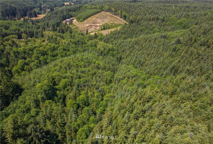 0 X Menlo Rue Creek, Raymond, Washington 98577, ,Land,For Sale,X Menlo Rue Creek,NWM1816114