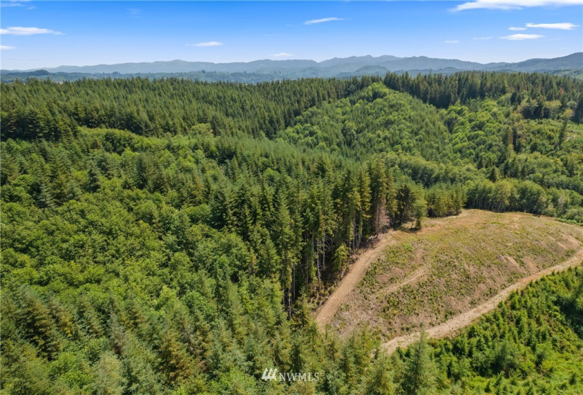 0 X Menlo Rue Creek, Raymond, Washington 98577, ,Land,For Sale,X Menlo Rue Creek,NWM1816114