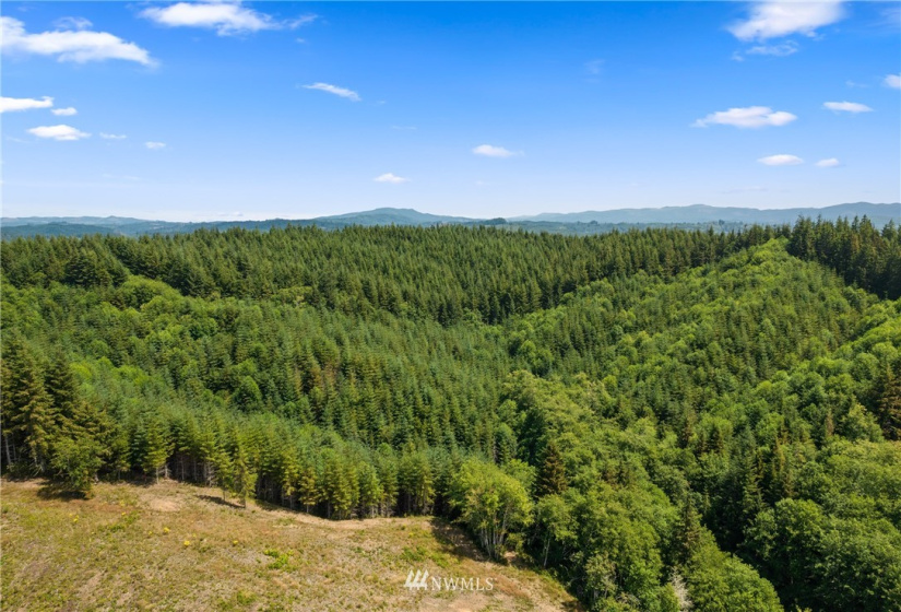 0 X Menlo Rue Creek, Raymond, Washington 98577, ,Land,For Sale,X Menlo Rue Creek,NWM1816114
