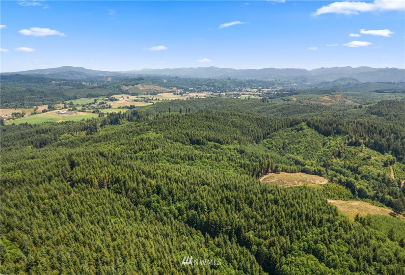 0 X Menlo Rue Creek, Raymond, Washington 98577, ,Land,For Sale,X Menlo Rue Creek,NWM1816114