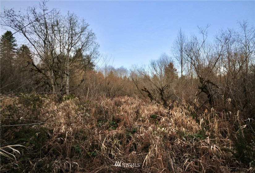 13662 Bear Creek, Woodinville, Washington 98077, ,Land,For Sale,Bear Creek,NWM1817125