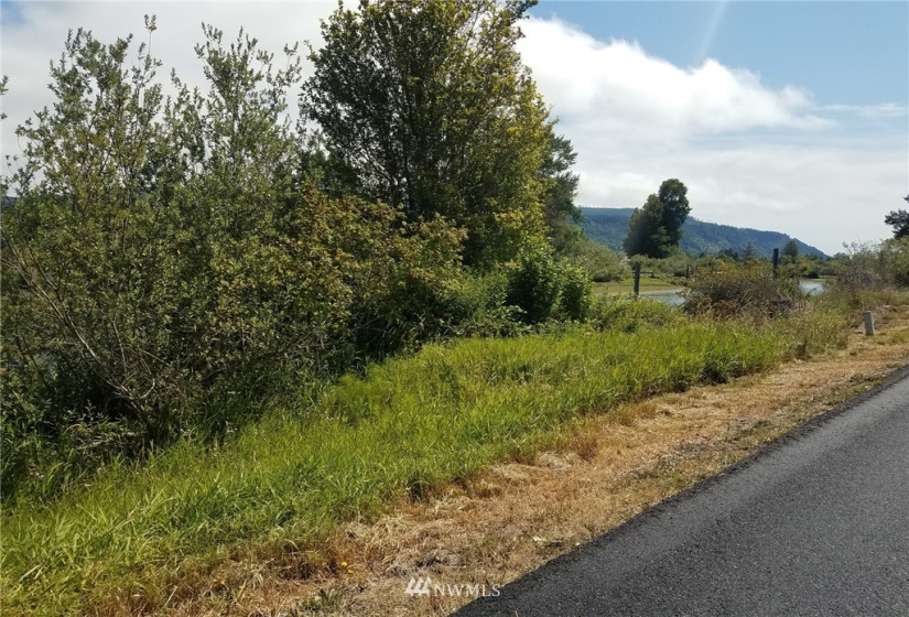 78 Birnie Slough, Cathlamet, Washington 98612, ,Land,For Sale,Birnie Slough,NWM1817158
