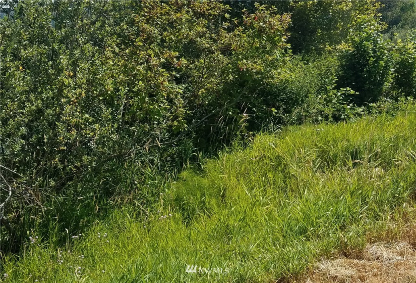 78 Birnie Slough, Cathlamet, Washington 98612, ,Land,For Sale,Birnie Slough,NWM1817158