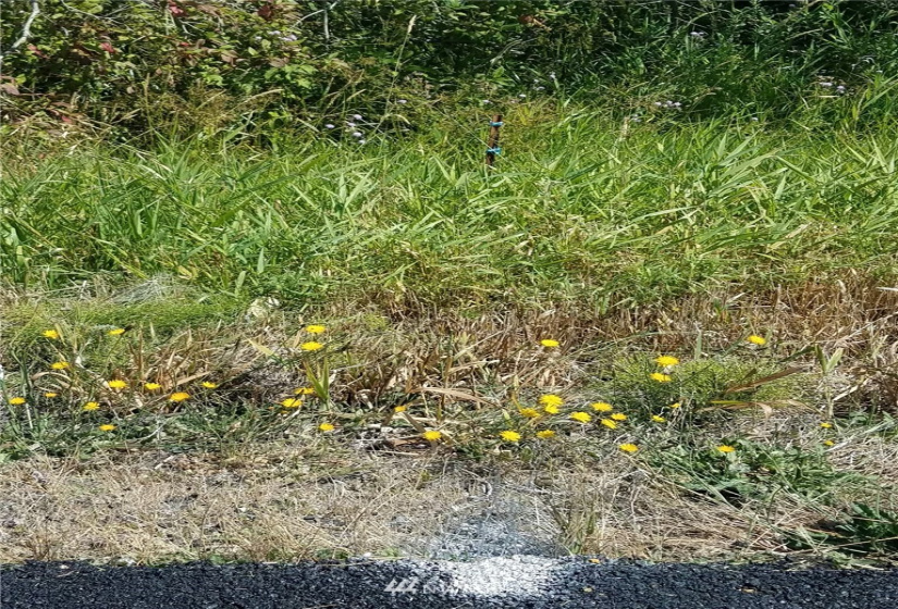 78 Birnie Slough, Cathlamet, Washington 98612, ,Land,For Sale,Birnie Slough,NWM1817158