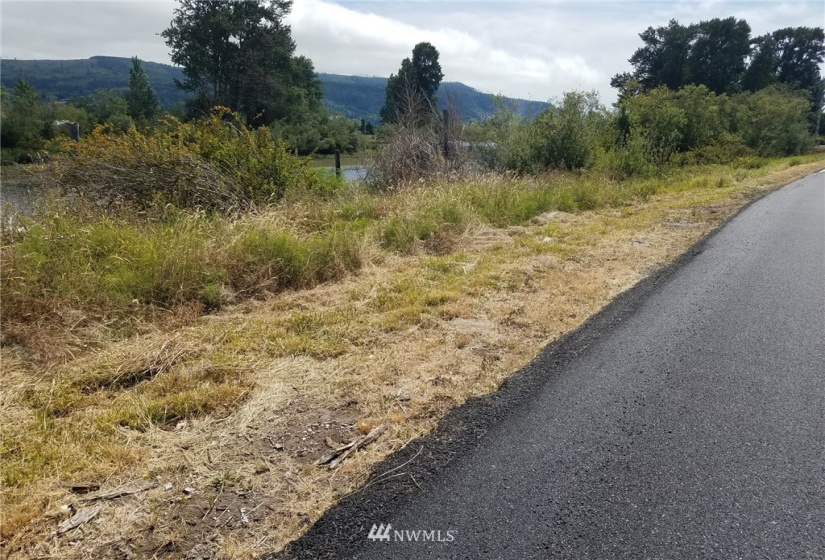 78 Birnie Slough, Cathlamet, Washington 98612, ,Land,For Sale,Birnie Slough,NWM1817158