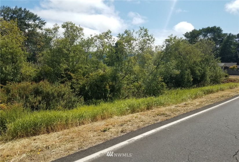 78 Birnie Slough, Cathlamet, Washington 98612, ,Land,For Sale,Birnie Slough,NWM1817158