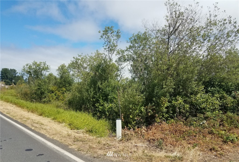 78 Birnie Slough, Cathlamet, Washington 98612, ,Land,For Sale,Birnie Slough,NWM1817158