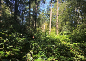 999 Sherman, Port Townsend, Washington 98368, ,Land,For Sale,Eisnbeis Addition,Sherman,NWM1814418