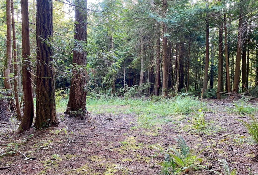 6900 ANDERSON HILL, Silverdale, Washington 98383, ,Land,For Sale,Large Lt Sub 394,ANDERSON HILL,NWM1812228