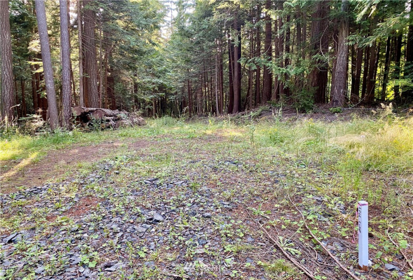 6900 ANDERSON HILL, Silverdale, Washington 98383, ,Land,For Sale,Large Lt Sub 394,ANDERSON HILL,NWM1812228