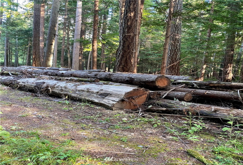 6900 ANDERSON HILL, Silverdale, Washington 98383, ,Land,For Sale,Large Lt Sub 394,ANDERSON HILL,NWM1812228