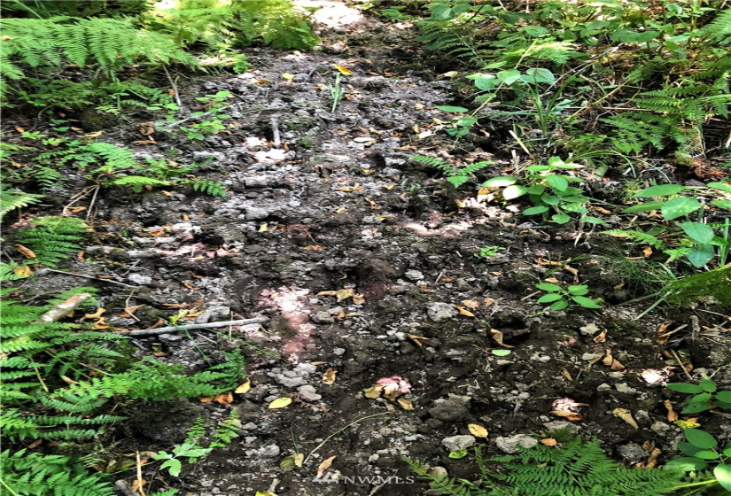 0 Burchett, Onalaska, Washington 98570, ,Land,For Sale,Burchett,NWM1812030